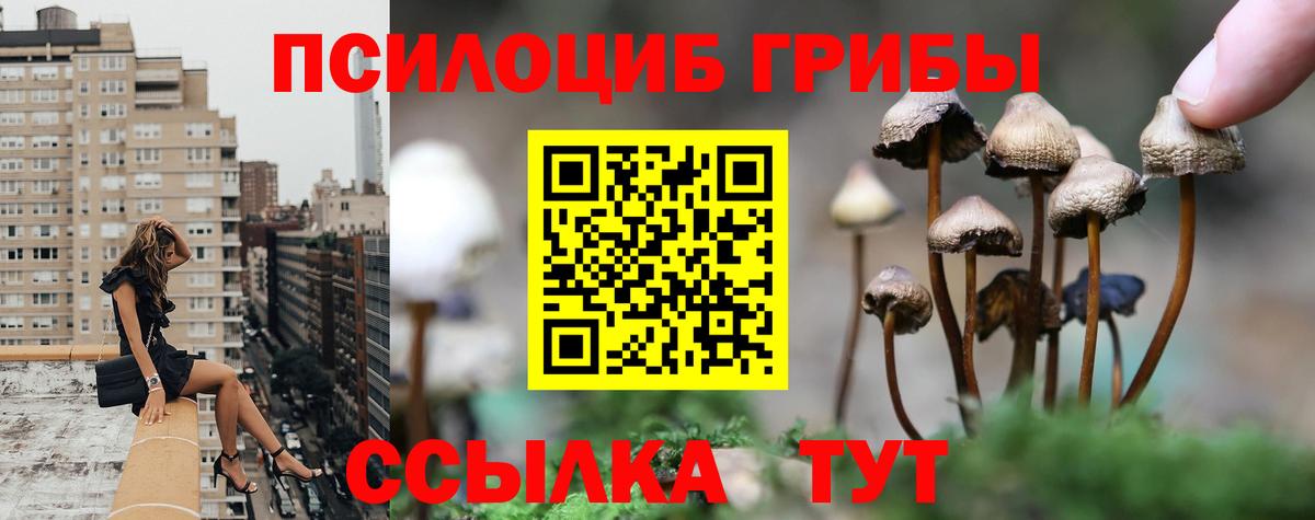 Псилоцибиновые грибы ЛСД  наркота  Чусовой  Вход с VPN  Галлюциногенные грибы ЛСД 